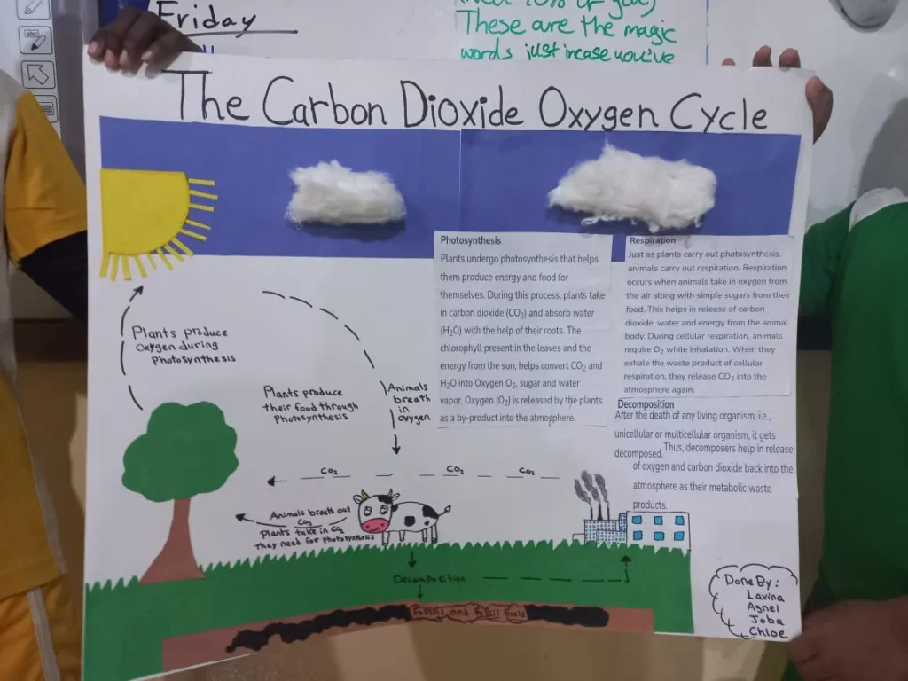 5th Grade Science Presentation (22)