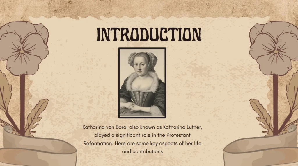 6th Grade Social Studies Project – Protestant Reformation Comic Strip (Katharina Von Bora) (4)